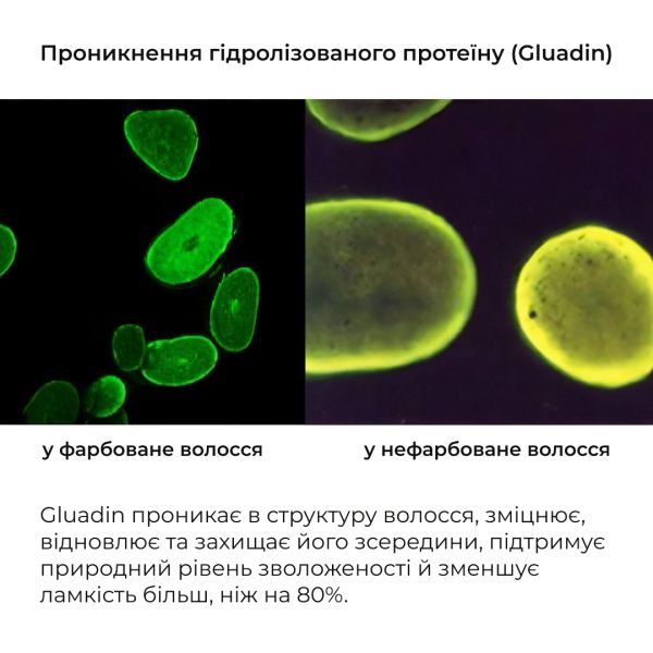Сыворотка для волос Concentrate Serenoa + Шампунь для всех типов волос Nori Micellar и гребень