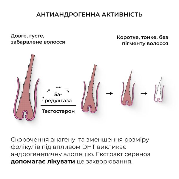 Сыворотка для волос Concentrate Serenoa + Шампунь для всех типов волос Nori Micellar и гребень
