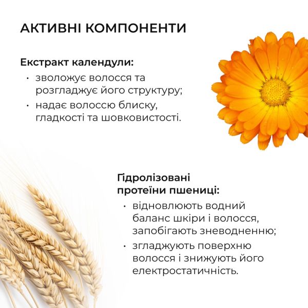 Сыворотка для волос Concentrate Serenoa + Шампунь для всех типов волос Nori Micellar и гребень