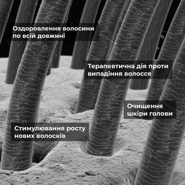 Сыворотка для волос Concentrate Serenoa + Шампунь для всех типов волос Nori Micellar и гребень