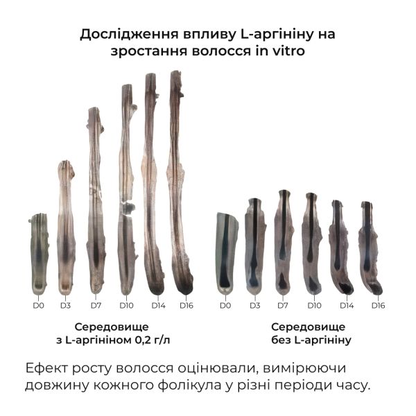 Сыворотка для волос Concentrate Serenoa + Шампунь для всех типов волос Nori Micellar и гребень